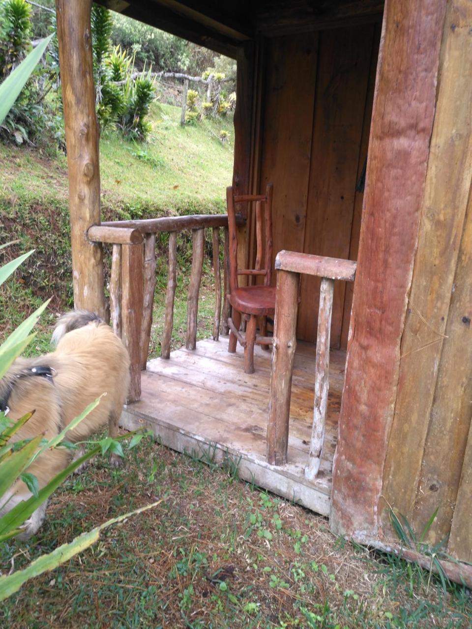 Cabanas Don Camilo Albergue De Montana Cabecera de Canas エクステリア 写真